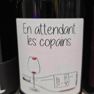 En attendant les copains (rouge) - Domaine du Petit Oratoire - lori-haon