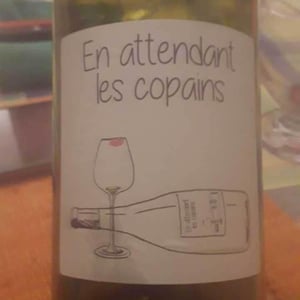 Domaine du Petit Oratoire - Lori Haon - En attendant les copains (rouge)