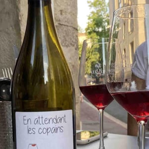 Domaine du Petit Oratoire - Lori Haon - En attendant les copains (rouge)