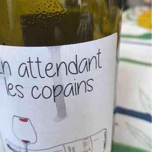 Domaine du Petit Oratoire - Lori Haon - En attendant les copains (rouge)