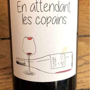 Domaine du Petit Oratoire - Lori Haon - En attendant les copains (rouge)