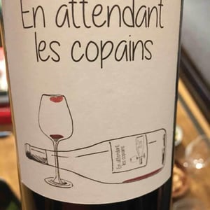 Domaine du Petit Oratoire - Lori Haon - En attendant les copains (rouge)