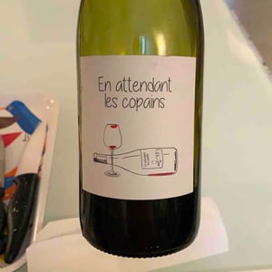 Domaine du Petit Oratoire - Lori Haon - En attendant les copains (rouge)