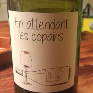 Domaine du Petit Oratoire - Lori Haon - En attendant les copains (rouge)