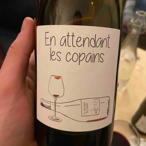 Domaine du Petit Oratoire - Lori Haon - En attendant les copains (rouge)
