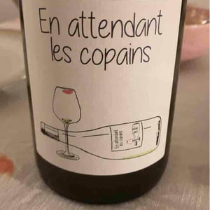 Domaine du Petit Oratoire - Lori Haon - En attendant les copains (rouge)