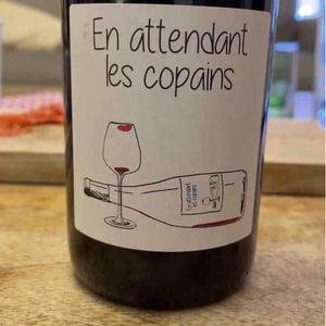Domaine du Petit Oratoire - Lori Haon - En attendant les copains (rouge)