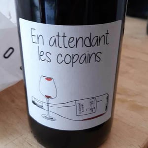 Domaine du Petit Oratoire - Lori Haon - En attendant les copains (rouge)