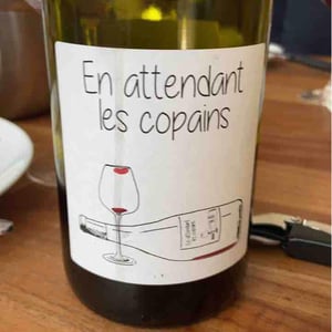 Domaine du Petit Oratoire - Lori Haon - En attendant les copains (rouge)