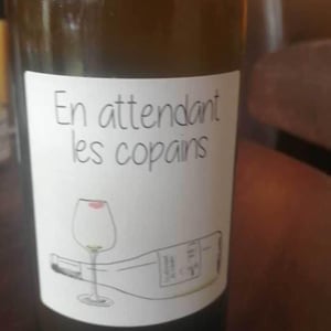 Domaine du Petit Oratoire - Lori Haon - En attendant les copains (rouge)