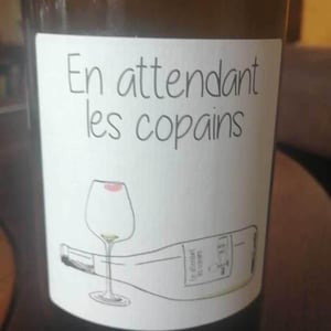 Domaine du Petit Oratoire - Lori Haon - En attendant les copains (rouge)