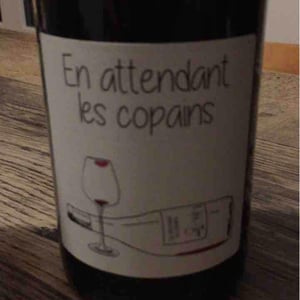 Domaine du Petit Oratoire - Lori Haon - En attendant les copains (rouge)