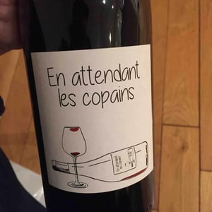 Domaine du Petit Oratoire - Lori Haon - En attendant les copains (rouge)