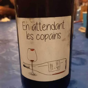 Domaine du Petit Oratoire - Lori Haon - En attendant les copains (rouge)