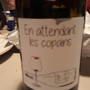 Domaine du Petit Oratoire - Lori Haon - En attendant les copains (rouge)