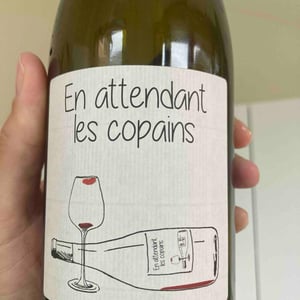 En attendant les copains (rouge) - Domaine du Petit Oratoire - Lori Haon 