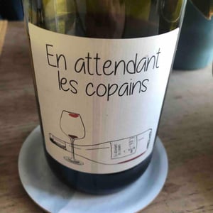 En attendant les copains (rouge) - Domaine du Petit Oratoire - Lori Haon 