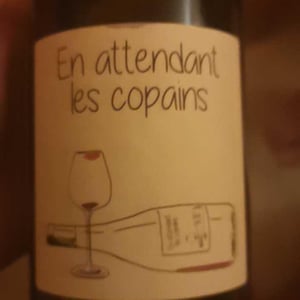 Domaine du Petit Oratoire - Lori Haon - En attendant les copains (rouge)
