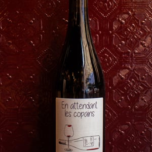En attendant les copains (rouge) - Domaine du Petit Oratoire - Lori Haon 