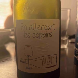 Domaine du Petit Oratoire - Lori Haon - En attendant les copains (rouge)