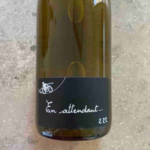 En Attendant - Paul-Henri Soler - Paul-Henri Soler 