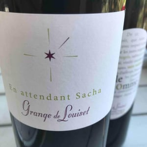 En Attendant Sacha - Grange de Louiset - regine-serge-pellegrini