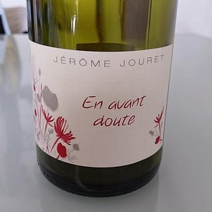 En Avant Doute - Jérome Jouret - Jérôme Jouret 