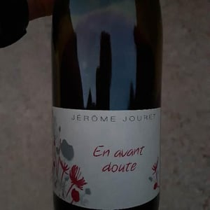 Jérome Jouret - Jérôme Jouret - En Avant Doute