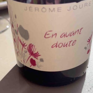 En Avant Doute - Jérome Jouret - Jérôme Jouret 