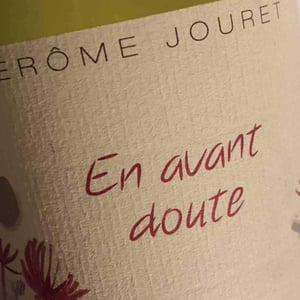 En Avant Doute - Jérome Jouret - Jérôme Jouret 