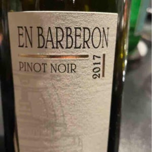En Barberon Pinot Noir - Domaine André & Mireille Tissot - Bénédicte & Stéphane Tissot -2019