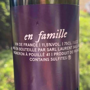 En famille - Laurent Saillard - Laurent Saillard -2023
