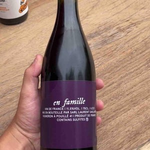 En famille - Laurent Saillard - laurent-saillard -2023