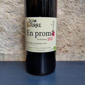 En Promo - Dom&Terre - dominique-terrier -2021