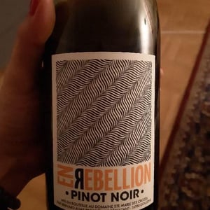 En Rébellion - Sainte Marie des Crozes - bernard-christelle-alias