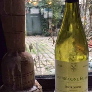En Rimont - Clos des Vignes du Maynes - julien-guillot