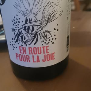 En Route Pour La Joie