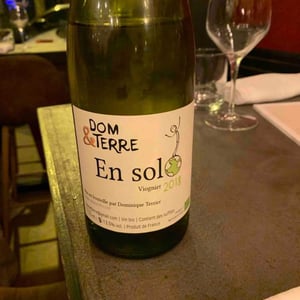 En Solo - Dom&Terre - Dominique Terrier 