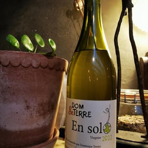 En Solo - Dom&Terre - dominique-terrier