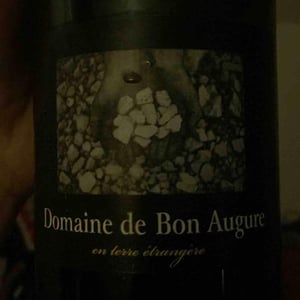 En Terre Étrangère - De Bon Augure - cedric-guy