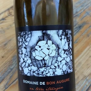 En Terre Étrangère - De Bon Augure - cedric-guy
