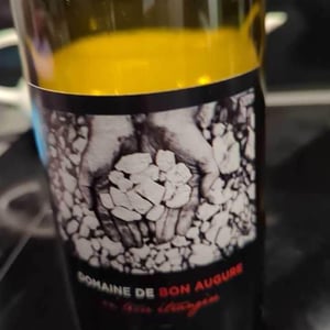 En Terre Étrangère - De Bon Augure - cedric-guy