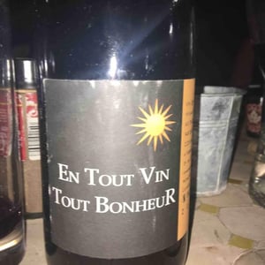 En Tout Vin Tout Bonheur - Clos Mathélisse - David Caer 