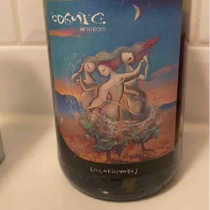 Encarinyades - Còsmic Vinyaters - salvador-batlle-barrabeig