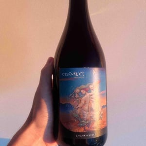 Còsmic Vinyaters - Salvador Batlle Barrabeig - Encarinyades