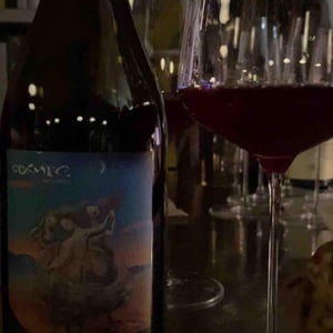 Còsmic Vinyaters - Salvador Batlle Barrabeig - Encarinyades