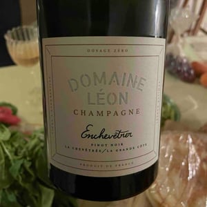 Enchevêtrer Dosage Zéro - Domaine Léon - Clément Robert -2020