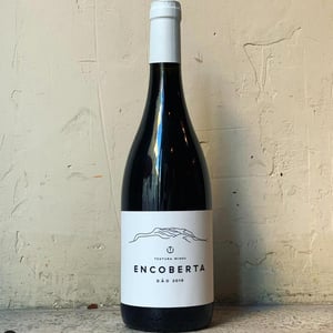 Encoberta - Textura Wines - marcelo-teixeira -2020