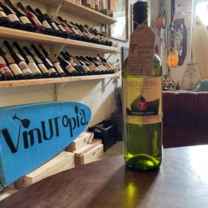 Encruzado e Arinto - Quinta da Serradinha - antonio-marques-da-cruz -2019
