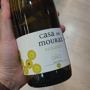 Encruzado - Casa de Mouraz - antonio-lopes-ribeiro-sara-dionisio